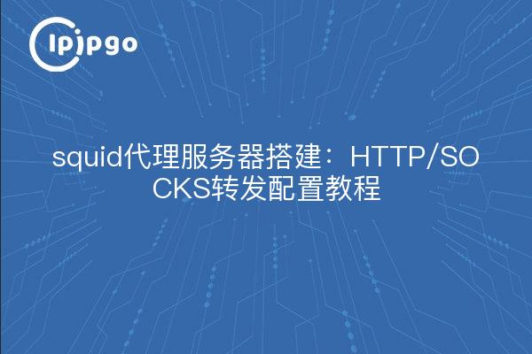squid代理服务器搭建:HTTP/SOCKS转发配置教程