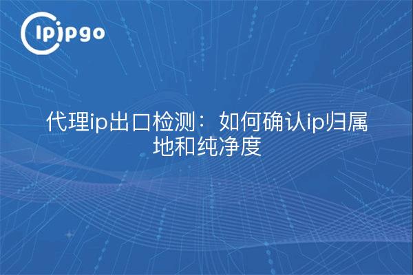 代理ip出口检测:如何确认ip归属地和纯净度