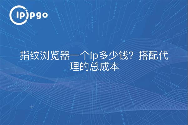 指纹浏览器一个ip多少钱？搭配代理的总成本