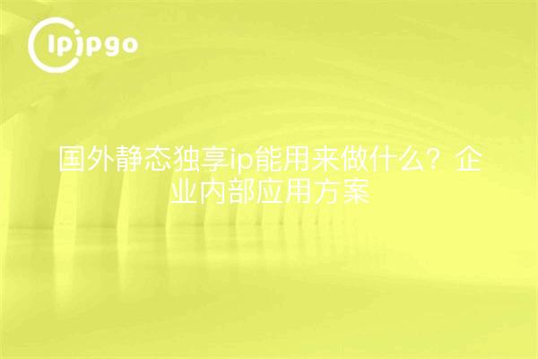 国外静态独享ip能用来做什么？企业内部应用方案