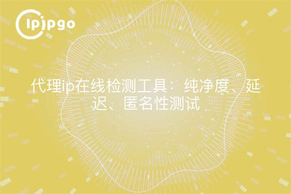 代理ip在线检测工具：纯净度、延迟、匿名性测试