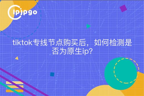 tiktok专线节点购买后，如何检测是否为原生ip？