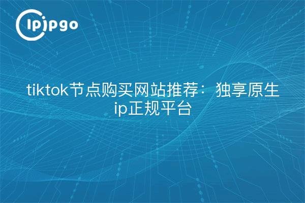 tiktok节点购买网站推荐:独享原生ip正规平台