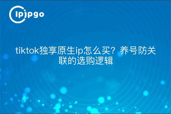 tiktok独享原生ip怎么买?养号防关联的选购逻辑