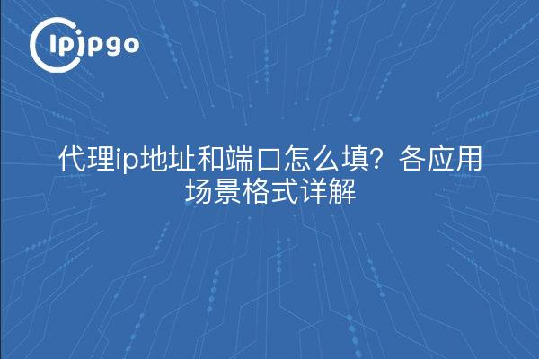 代理ip地址和端口怎么填？各应用场景格式详解