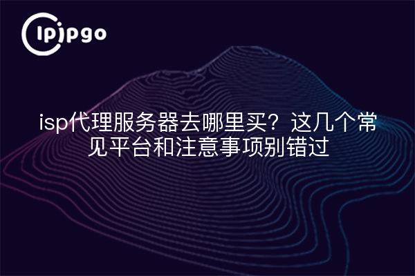 isp代理服务器去哪里买？这几个常见平台和注意事项别错过