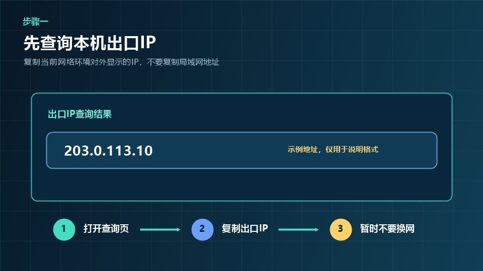 查询本机当前出口IP示意图