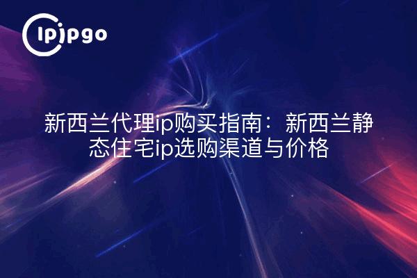 新西兰代理ip购买指南:新西兰静态住宅ip选购渠道与价格