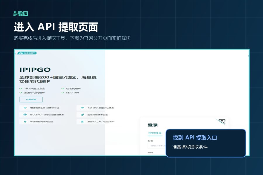 进入IPIPGO API代理提取页面