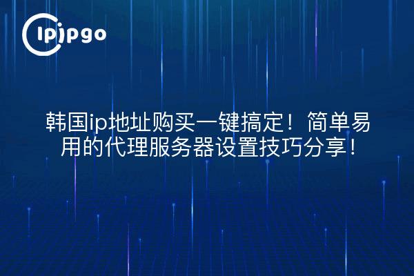 韩国ip地址购买一键搞定!简单易用的代理服务器设置技巧分享!