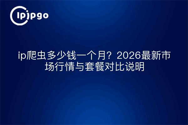 ip爬虫多少钱一个月?2026最新市场行情与套餐对比说明