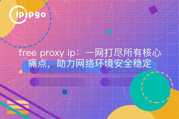 free proxy ip:一网打尽所有核心痛点,助力网络环境安全稳定