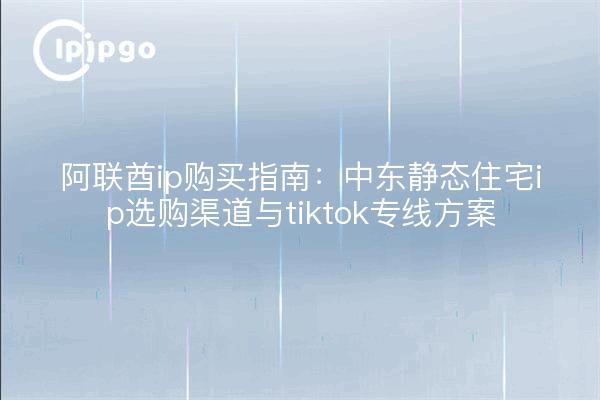 阿联酋ip购买指南:中东静态住宅ip选购渠道与tiktok专线方案