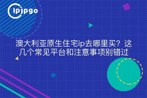 澳大利亚原生住宅ip去哪里买?这几个常见平台和注意事项别错过