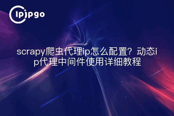scrapy爬虫代理ip怎么配置?动态ip代理中间件使用详细教程