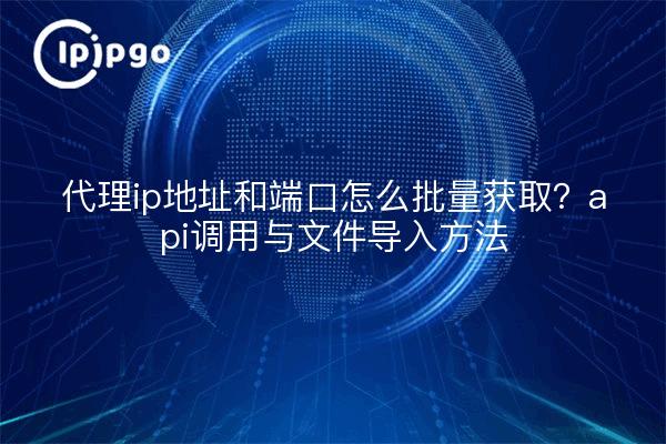 代理ip地址和端口怎么批量获取?api调用与文件导入方法