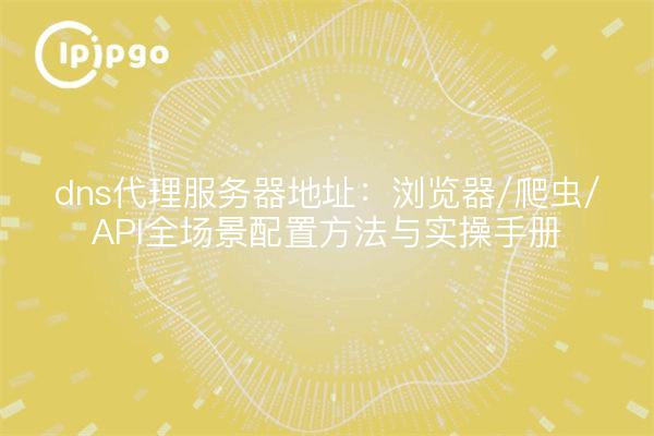 dns代理服务器地址:浏览器/爬虫/API全场景配置方法与实操手册