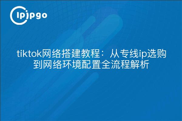 tiktok网络搭建教程：从专线ip选购到网络环境配置全流程解析