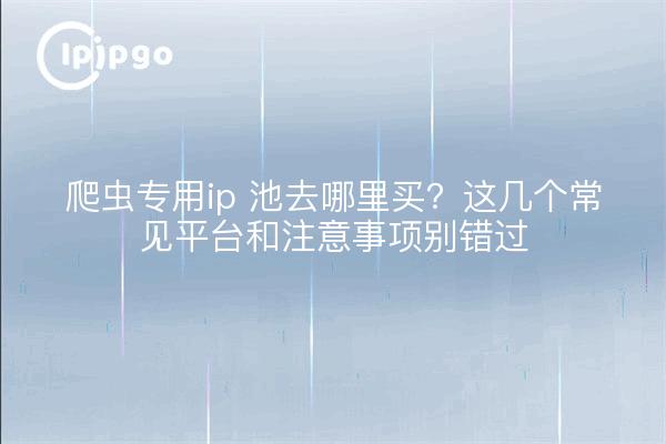 爬虫专用ip 池去哪里买?这几个常见平台和注意事项别错过