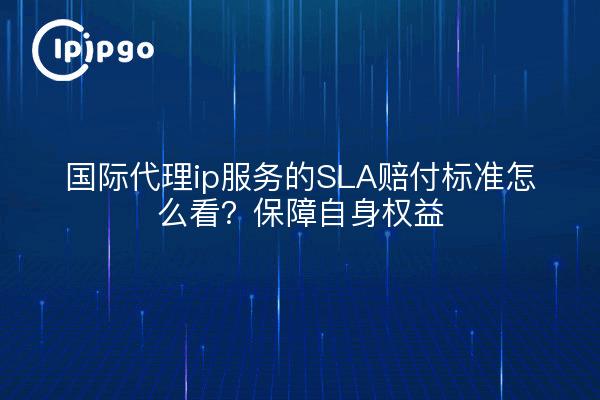 国际代理ip服务的SLA赔付标准怎么看?保障自身权益