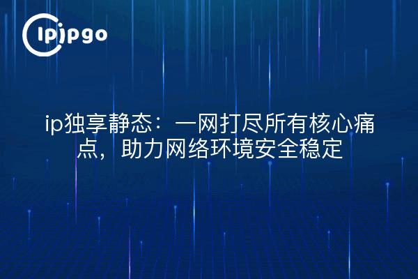 ip独享静态：一网打尽所有核心痛点，助力网络环境安全稳定