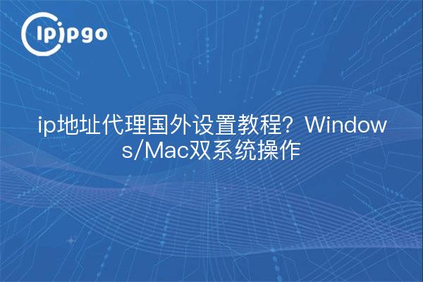 ip地址代理国外设置教程?Windows/Mac双系统操作