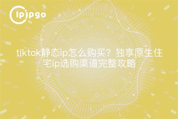 tiktok静态ip怎么购买?独享原生住宅ip选购渠道完整攻略