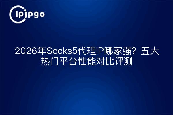 2026年Socks5代理IP哪家强?五大热门平台性能对比评测