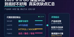 2026年IPIPGO深度评测与真实优缺点