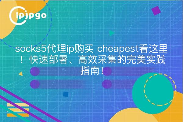socks5代理ip购买 cheapest看这里!快速部署、高效采集的完美实践指南!