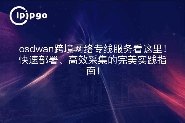 osdwan跨境网络专线服务看这里!快速部署、高效采集的完美实践指南!