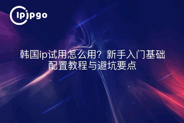 韩国ip试用怎么用?新手入门基础配置教程与避坑要点