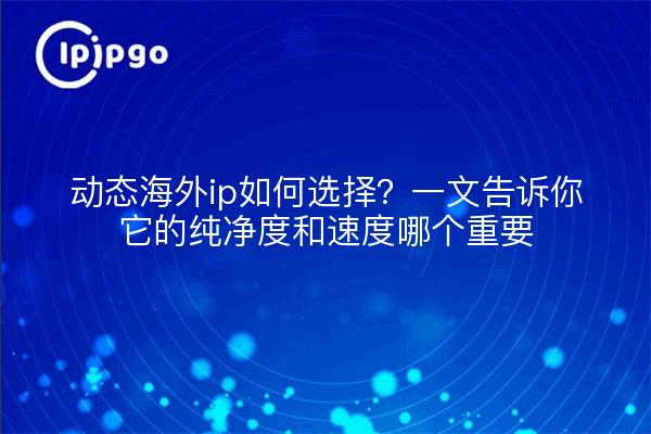 动态海外ip如何选择？一文告诉你它的纯净度和速度哪个重要