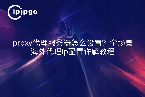 proxy代理服务器怎么设置?全场景海外代理ip配置详解教程