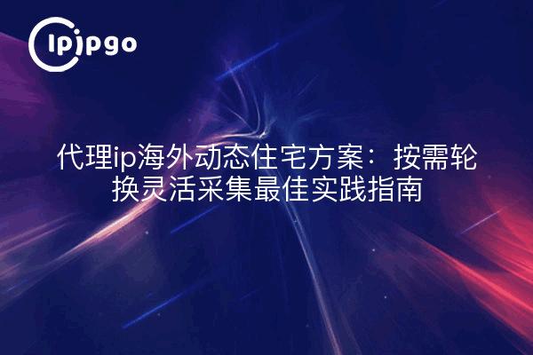 代理ip海外动态住宅方案：按需轮换灵活采集最佳实践指南