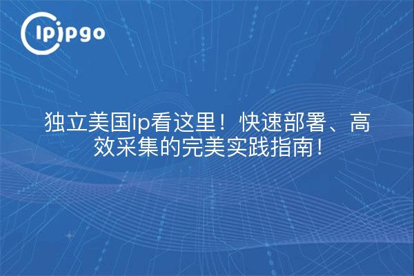 独立美国ip看这里!快速部署、高效采集的完美实践指南!