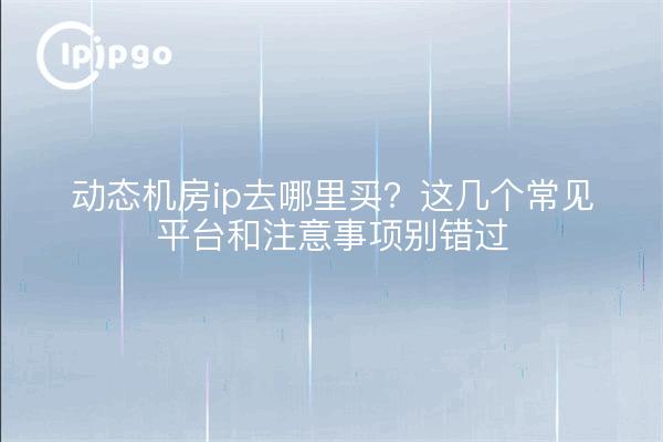 动态机房ip去哪里买?这几个常见平台和注意事项别错过