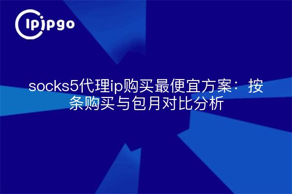 socks5代理ip购买最便宜方案:按条购买与包月对比分析