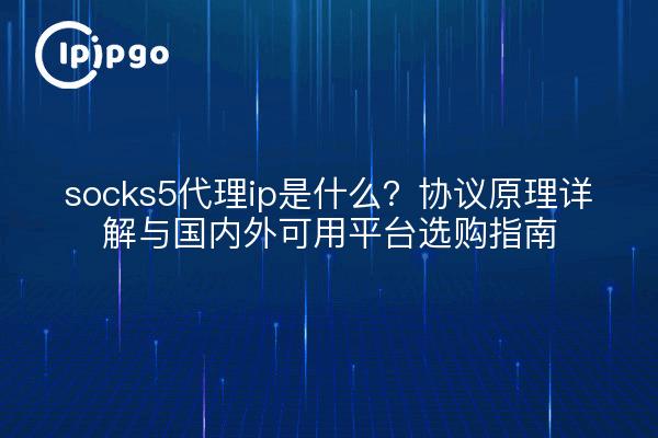 socks5代理ip是什么?协议原理详解与国内外可用平台选购指南