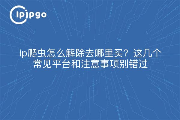 ip爬虫怎么解除去哪里买?这几个常见平台和注意事项别错过