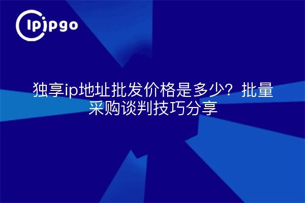 独享ip地址批发价格是多少?批量采购谈判技巧分享