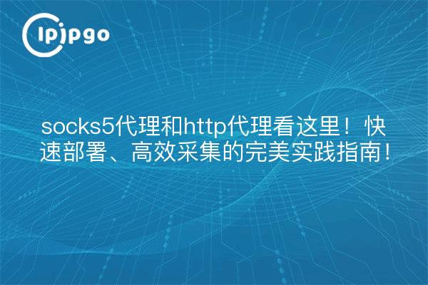socks5代理和http代理看这里!快速部署、高效采集的完美实践指南!