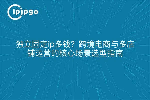 独立固定ip多钱?跨境电商与多店铺运营的核心场景选型指南