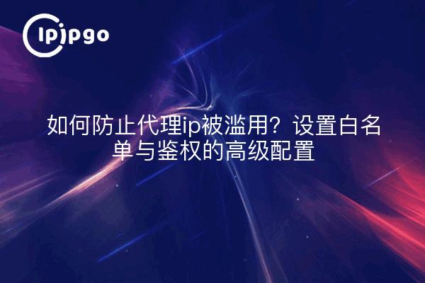 如何防止代理ip被滥用?设置白名单与鉴权的高级配置