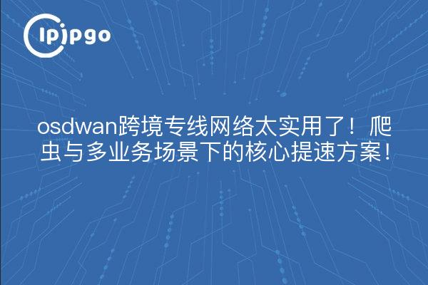 osdwan跨境专线网络太实用了!爬虫与多业务场景下的核心提速方案!