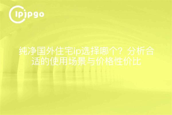 纯净国外住宅ip选择哪个?分析合适的使用场景与价格性价比