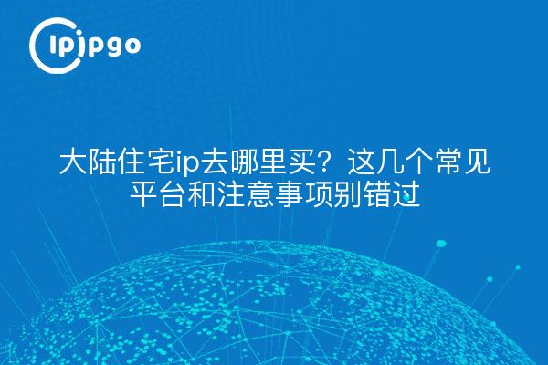 大陆住宅ip去哪里买?这几个常见平台和注意事项别错过