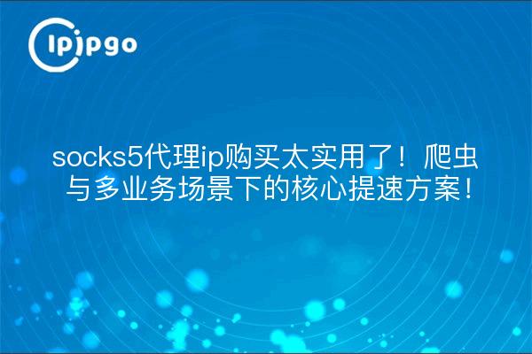 socks5代理ip购买太实用了!爬虫与多业务场景下的核心提速方案!