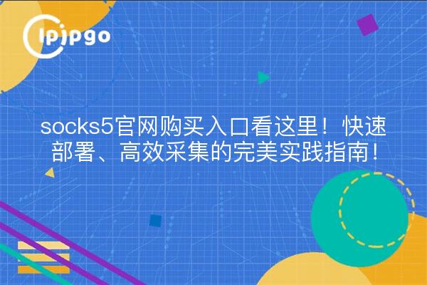 socks5官网购买入口看这里!快速部署、高效采集的完美实践指南!