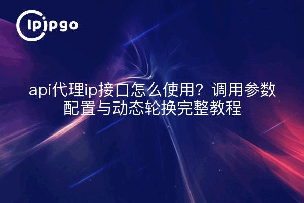 api代理ip接口怎么使用?调用参数配置与动态轮换完整教程
